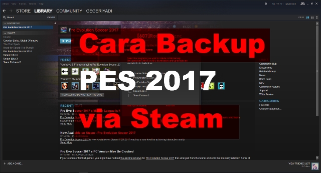 Cara Back Up Data PES Login Restore dan Menghapus Data Save