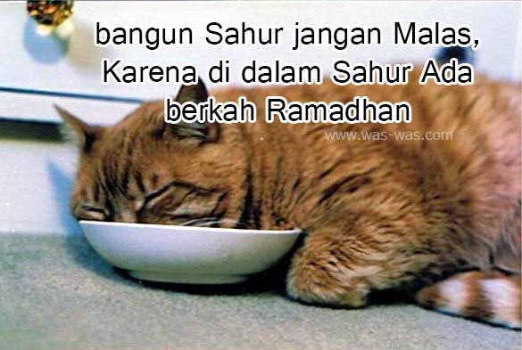 Gambar meme bangun sahur lucu - Gageto.com - Gageto.com