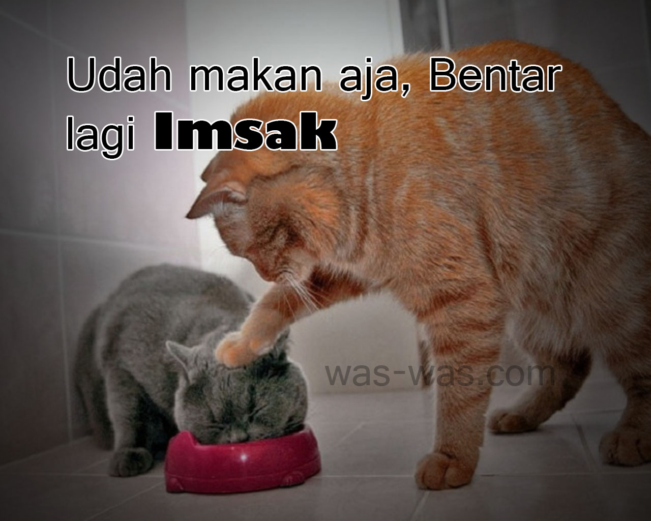 Gambar DP BBM Meme Sahur Ramadhan Lucu Kocak Terbaru 2018 Gagetocom