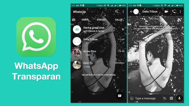 Download WhatsApp Transparan