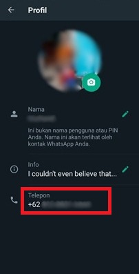 Cara Cek Nomor Smartfren Lewat WhatsApp