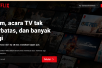 Cara Berhenti Langganan Netflix Terbaru 2024 